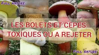 LES BOLETS ET CEPES TOXIQUES OU &Agrave; REJETER