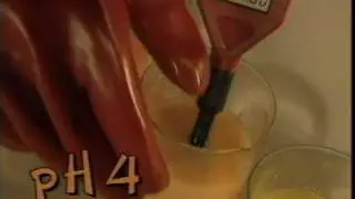 C042 Neutralisation