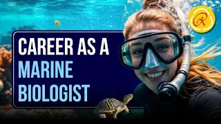 How to Start a Career in Marine Biology | Courses, Skills, Salary & Scope Explained