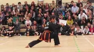 Master Sung Jin Suh Kuk Sool Won Liverpool 2013