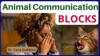 How to Clear Your Chakra Blocks to Animal Communication