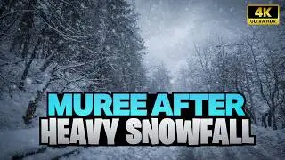Murree🇵🇰 Barafbari 2026 ❄️ Heavy Snowfall in Murree | Winter Tour 4K