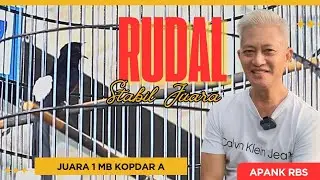 Rudal Stabil Juara ‼️ Menang di Kelas Pembuka Kopdar SMM