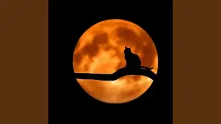 Sweetness of Love