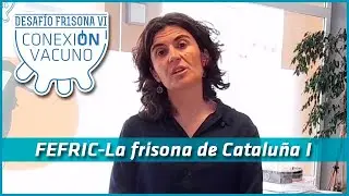 FEFRIC-Conociendo la Frisona de Catalu&ntilde;a I (Desaf&iacute;o Frisona VI)