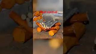 Building a Forest Shelter from Logs: Wild Boar Attacks #fypシ゚viral 💯 #subscribers Bushcraft🛖