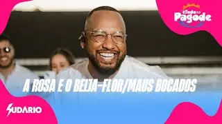 Sud&aacute;rio &Eacute; Tudo no Pagode - Medley A Rosa e o Beija-Flor/ Maus Bocados