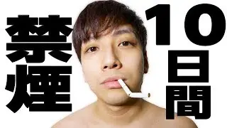超ヘビースモーカーが10日間禁煙したら生涯禁煙成功しそう【キレそう】