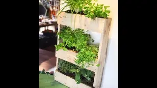 Comment r&eacute;aliser un mur v&eacute;g&eacute;tal ou aromatique int&eacute;rieur en bois ?