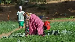 Ap&ecirc;l Hyfforddiant Eco-Amaeth i Bentre Saouga