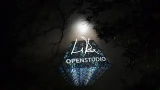 LaRue Open Studio 2019