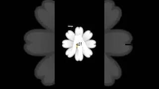 Untitled video