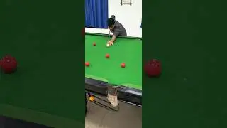 just started to play #beginners #poolstart #howtoplaypool
