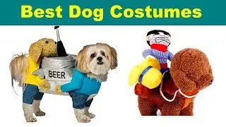 Best Dog Costumes of 2019 / Latest Dog Costumes | Dog Costumes |