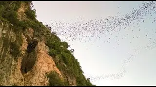 Bat Cave at Phnom Sampeau near Battambang, Cambodia