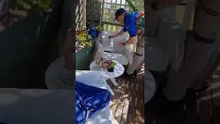 Queensland Snake Catcher Removes Sleeping Python From Couch Cushion