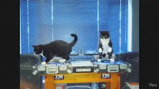 Isabelle and Simone get down.