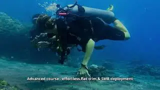 Personalized Dive Training!