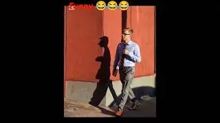 best funny photos 😂 2025