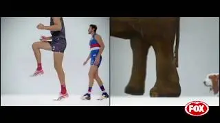 Fox Footy x RSPCA | For all players and animals great and small | Split Screen