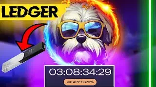 Правильный Стейкинг HAVA coin |  Решение Проблемы с Ledger | Стейкинг Хава коин