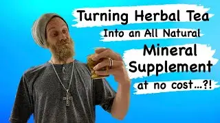 Herbal Teas as an All Natural Mineral Supplement that the Whole Family can Enjoy?!
