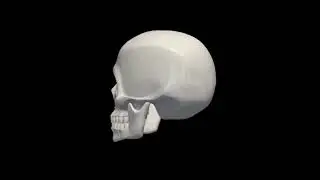 3d skull riff 10 hours