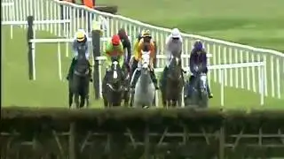 Spring Juvenile Hurdle 2013