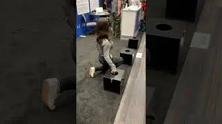 Electronics sniffing dog