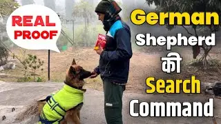 German Shepherd ki search command || रियल प्रूफ