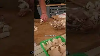 🐽🍄 &Iacute;gy &aacute;ll &ouml;ssze a bakonyi lasagne 🤩🔥