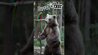Part 1 Hybrid Animal Fusion #tech #animal #fusion #hybrid #AI