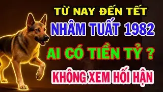 Sự thật Đ&aacute;ng sợ, nh&acirc;m tuất 1982 Ai gi&agrave;u Nhất, Ai Mất Sạch Lộc Những Ng&agrave;y Cuối Th&aacute;ng 12 &Acirc;m Lịch
