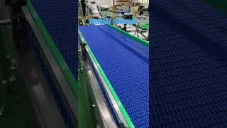 bifa plastic modular conveyor#modularconveyor #transportadora #конвейер #materialhandling