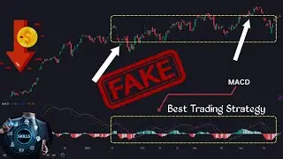 Best Trading Strategy | Full Explained MACD Indicator | Advance Strategy | Trade With Confidence 