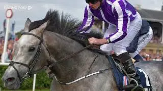 Kevin Buckley on the WH Stayers' Million Series