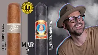 March LCA | Super Seamonkeys & Cloud Hopper | March 2025