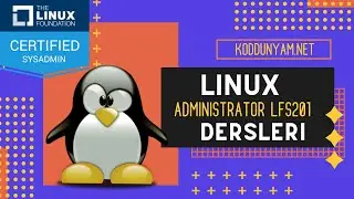 Linux Administrator (Yöneticilik) Eğitimi - Network (Ağ Sistemleri) IPv4 ve IPv6 (Bölüm 1)