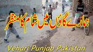 Visit 28WB Peeran wala Vehari city Vlog | Vehari_Punjab_Pakistan| Beautiful_Village | Life_Of_Punjab
