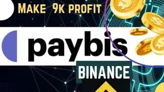 Paybis to Binance Arbitrage 8k+ profit