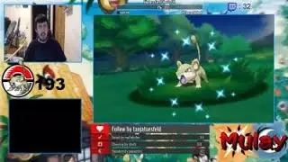 POK&Eacute;MON OMEGA RUBIN: Shiny Rattfratz [Twitchmitschnitt]
