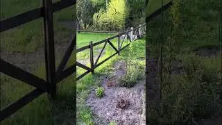 Что мы взяли для себя в чужом доме #aframe