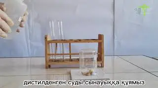 Суға сапалық реакция