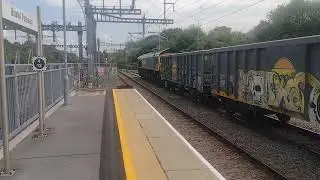 Here is a Freightliner class 66551 for appleford from Tytherington