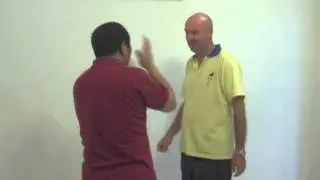 Sanfeng Applications with Master Zhao
