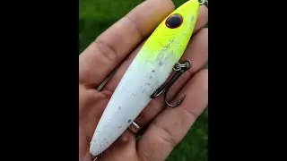NON-STOP BLOW UPS ON SUMMERTIME SNOOK