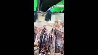 Amazing Chinese Street Food LIVE 🇨🇳 Master Cooking Skills Sizzling Woks Relaxing Cooking Sounds ASMR