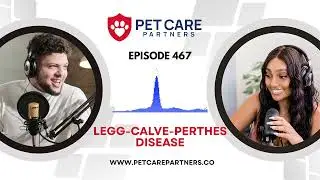 EP 467: Legg-Calv&eacute;-Perthes Disease in Dogs &ndash; Diagnosis, Treatment, and Prognosis | Pet Care Partners