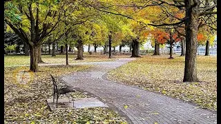 Kew-Balmy Beach Cove-Martin Goodman Trail-Toronto Ontario-25/10/2025
