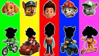 Wrong eyes👀 PAW Patrol NEW EPISODES Compilation! w/ Skye & Marshall - DAME TU COSITA Wrong Heads